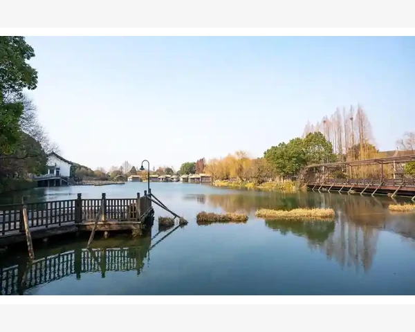 柠檬膏：中医科普，告别咳嗽化痰之烦恼